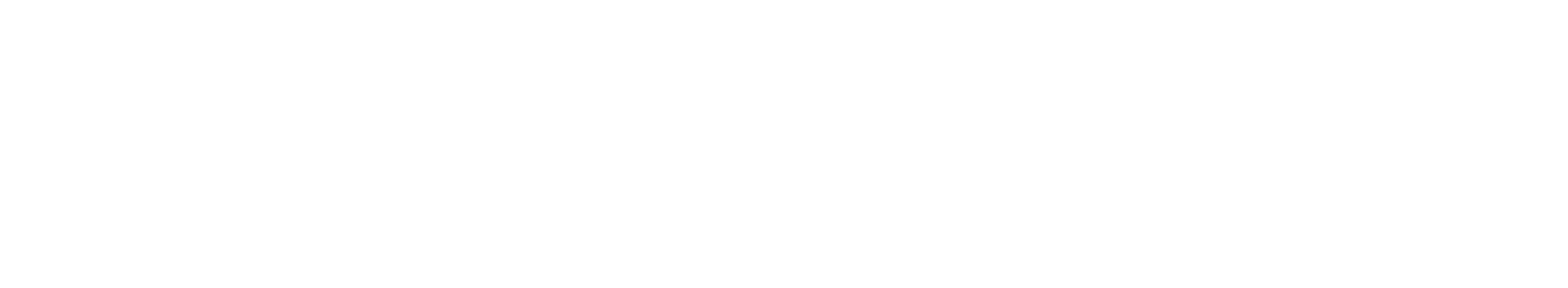 DISSEA 